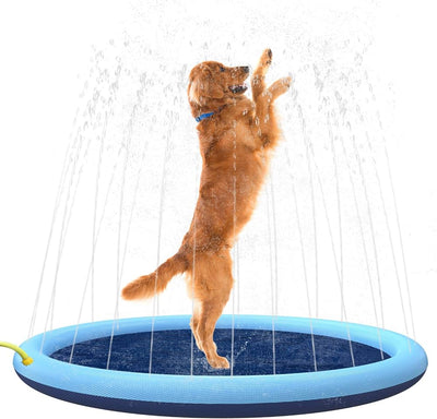 Waterpaw Sprinkler Pad für Hunde + KOSTENLOSE Hundebürste!