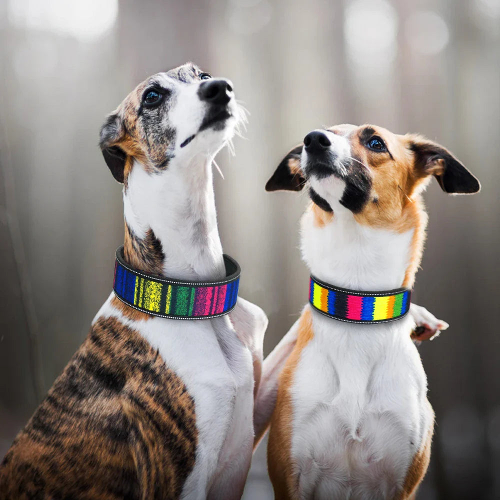 Zavando Reflektierendes Nylon Hundehalsband