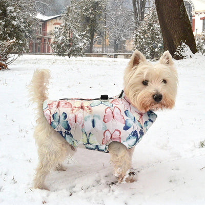 WärmeFit™ Winter Hundejacke - Robuste Hundebekleidung für kalte Tage