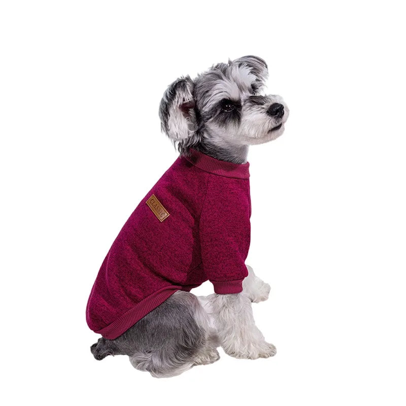 Zavando Winter-Sweatshirt für kleine Hunde – Warme Jacke