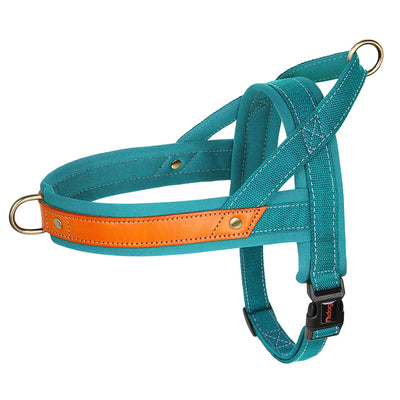 Zavando-Pull Hundegeschirr – Nylon-Leder Design für maximalen Komfort und Kontrolle