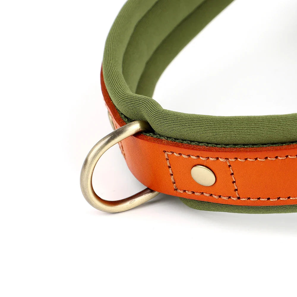 Zavando-Pull Hundegeschirr – Nylon-Leder Design für maximalen Komfort und Kontrolle