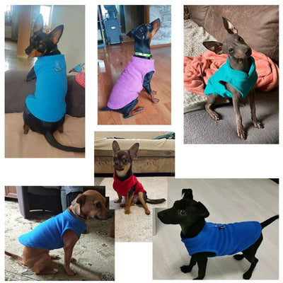 Zavando Winter-Fleece-Jacke für kleine Hunde