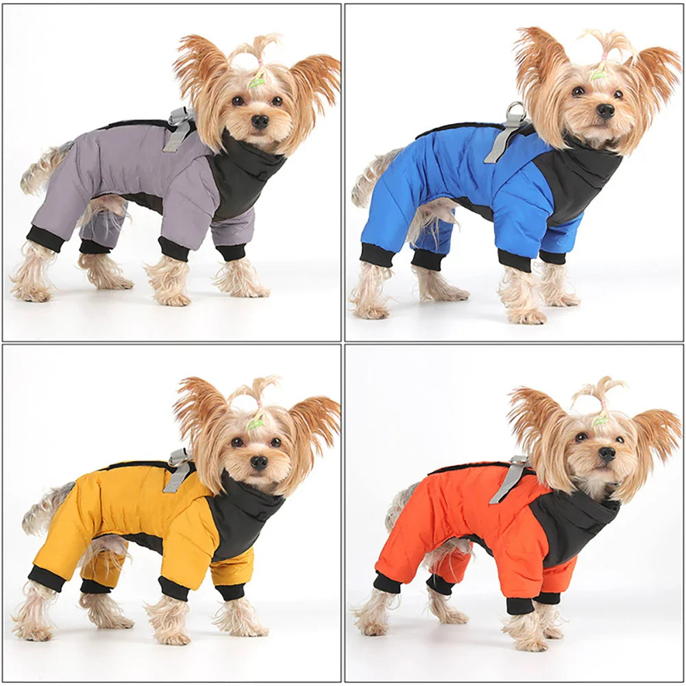 Zavando Winterjacke für kleine Hunde