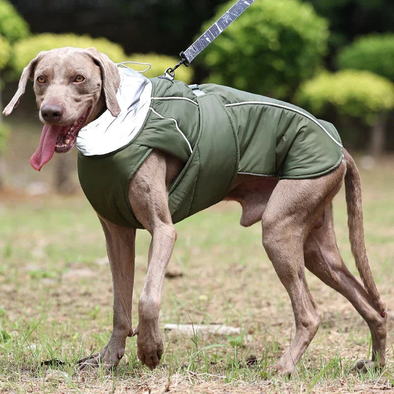 Zavando Winterjacke für Hunde – Warm und wasserdicht für kalte Tage