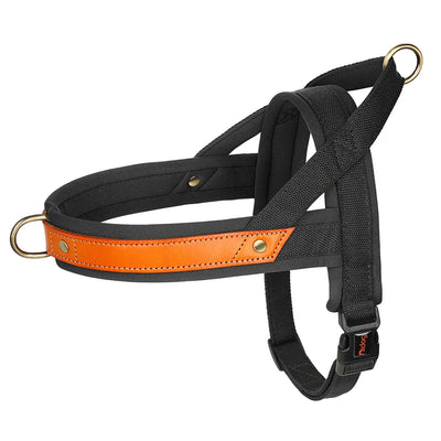 Zavando-Pull Hundegeschirr – Nylon-Leder Design für maximalen Komfort und Kontrolle