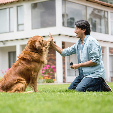 Shimaki : Anti-Bell-Gerät, Ultraschall-Anti-Bell-Hund