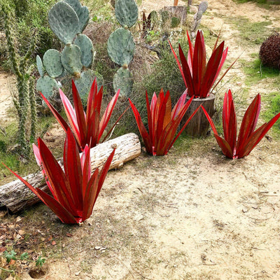 Wasserfeste Ewige Agave Rustikale Skulptur