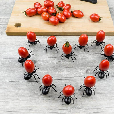 12 Stück Ameisen Nahrung Obst Halter