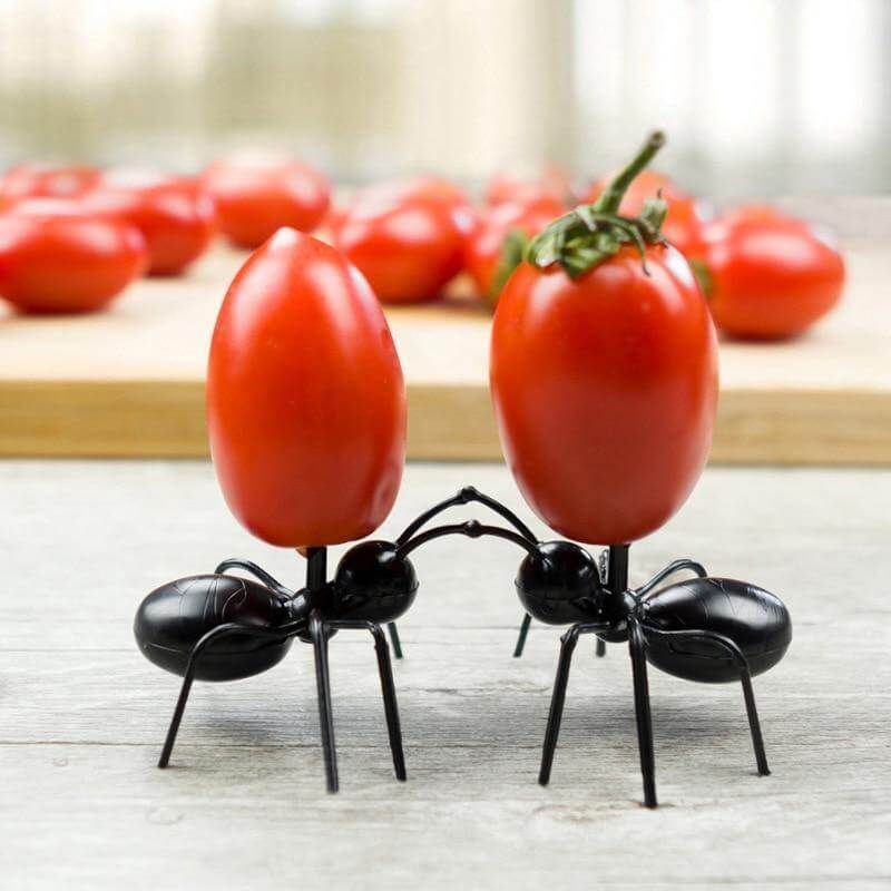 12 Stück Ameisen Nahrung Obst Halter