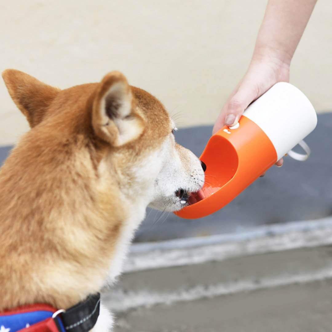 Rocket Tragbare Reise-Wasserflasche für Hunde