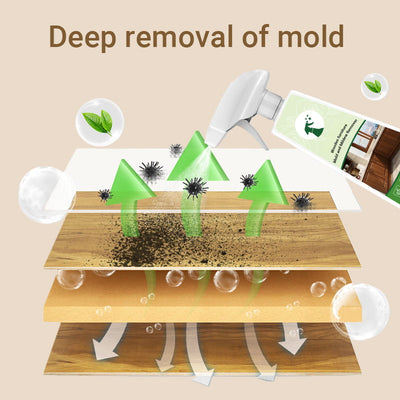 Wooden Furniture Mold and Mildew Remover